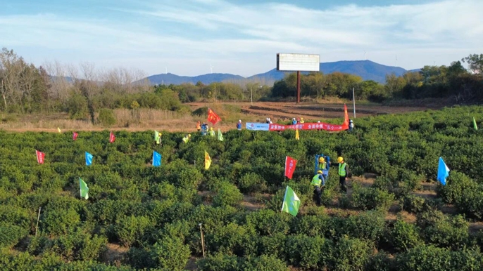 微信图片_20251114083357